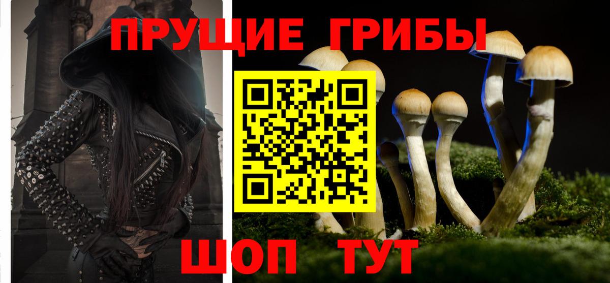 Калининград  Псилоцибиновые грибы Magic Shrooms  Вход с VPN 